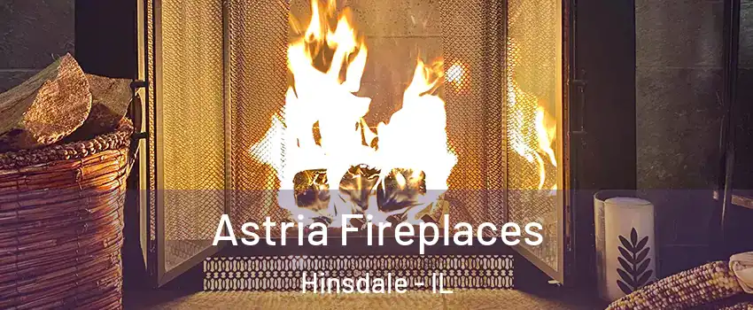  Astria Fireplaces Hinsdale - IL