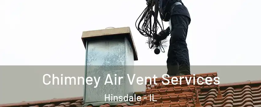  Chimney Air Vent Services Hinsdale - IL
