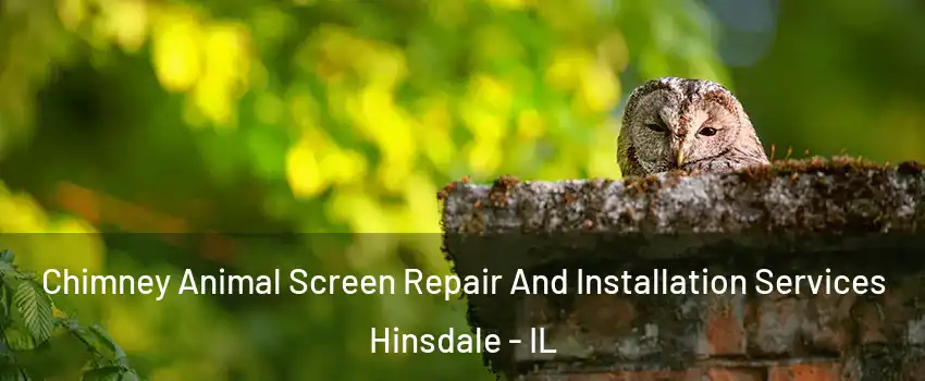  Chimney Animal Screen Repair And Installation Services Hinsdale - IL