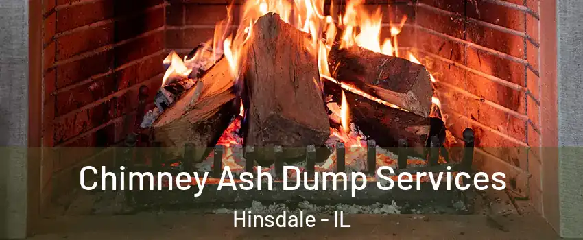  Chimney Ash Dump Services Hinsdale - IL