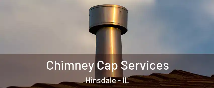  Chimney Cap Services Hinsdale - IL