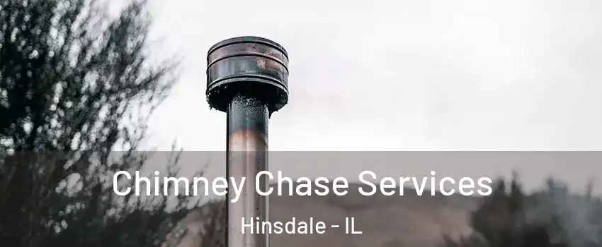  Chimney Chase Services Hinsdale - IL