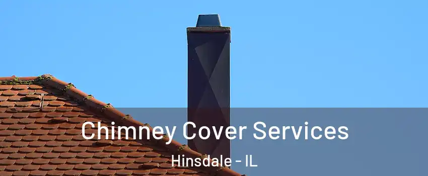  Chimney Cover Services Hinsdale - IL