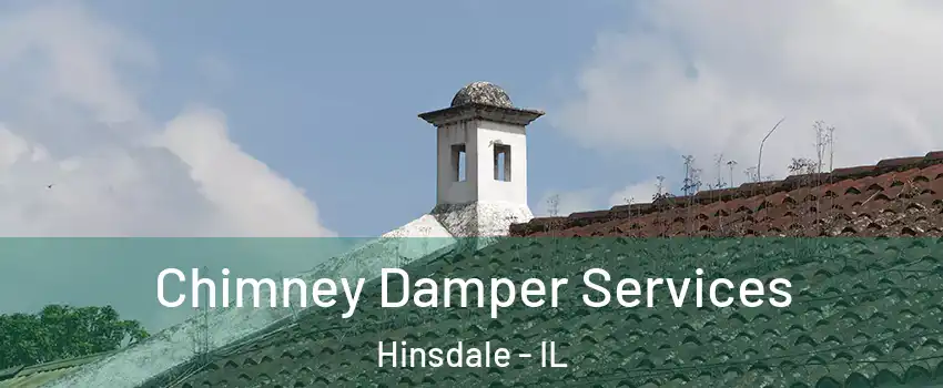  Chimney Damper Services Hinsdale - IL