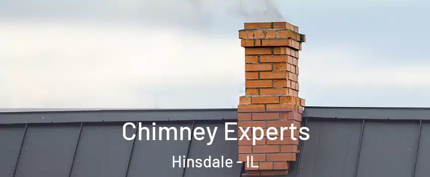  Chimney Experts Hinsdale - IL