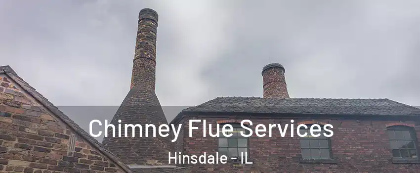  Chimney Flue Services Hinsdale - IL