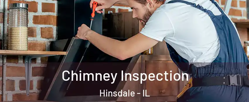  Chimney Inspection Hinsdale - IL