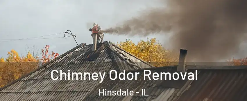 Chimney Odor Removal Hinsdale - IL