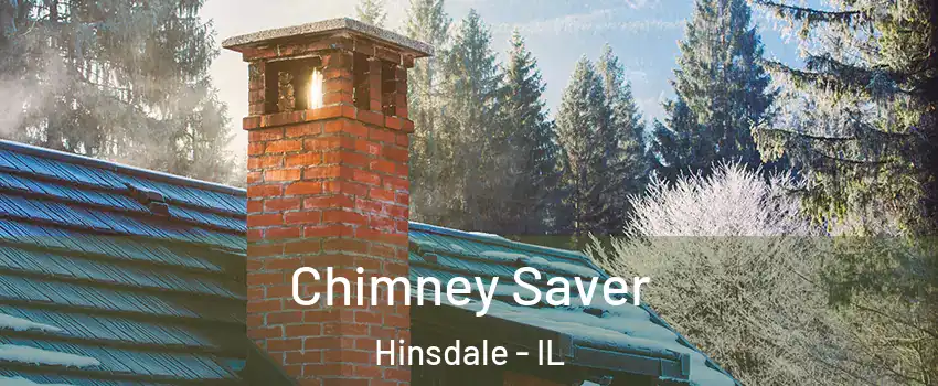  Chimney Saver Hinsdale - IL