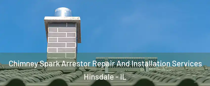  Chimney Spark Arrestor Repair And Installation Services Hinsdale - IL