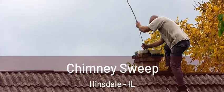  Chimney Sweep Hinsdale - IL