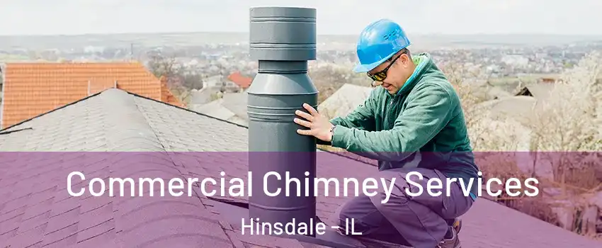  Commercial Chimney Services Hinsdale - IL