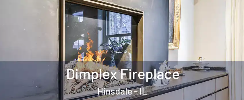 Dimplex Fireplace Hinsdale - IL
