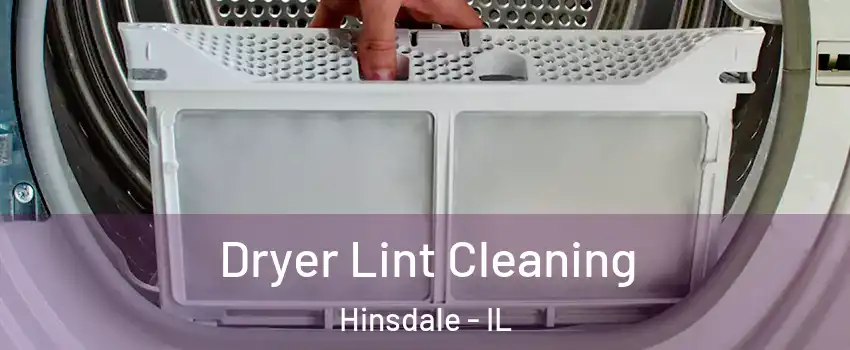  Dryer Lint Cleaning Hinsdale - IL