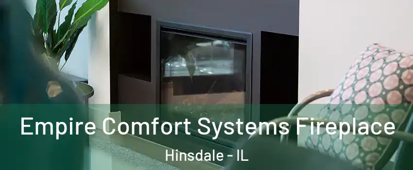  Empire Comfort Systems Fireplace Hinsdale - IL
