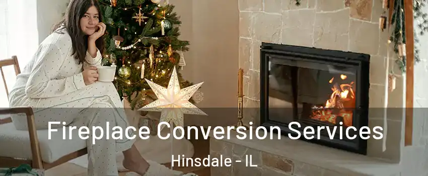  Fireplace Conversion Services Hinsdale - IL