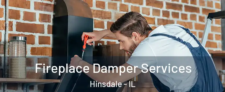  Fireplace Damper Services Hinsdale - IL