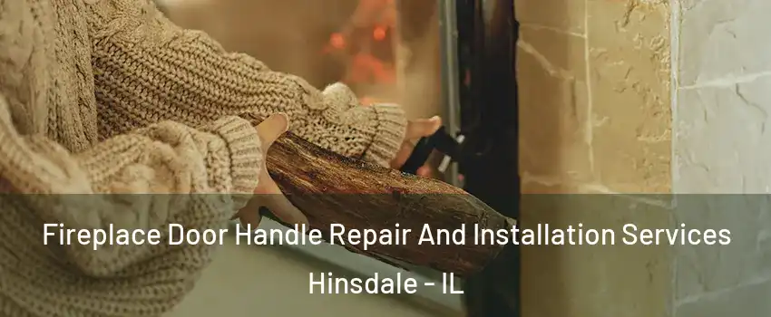  Fireplace Door Handle Repair And Installation Services Hinsdale - IL