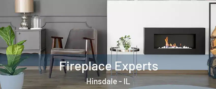  Fireplace Experts Hinsdale - IL