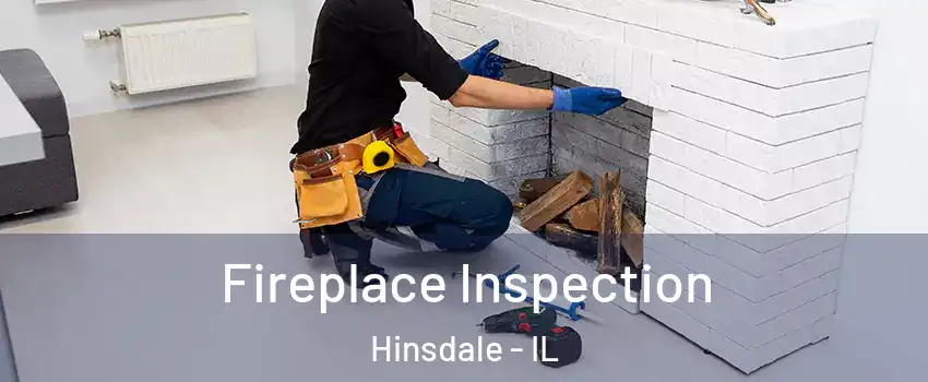  Fireplace Inspection Hinsdale - IL