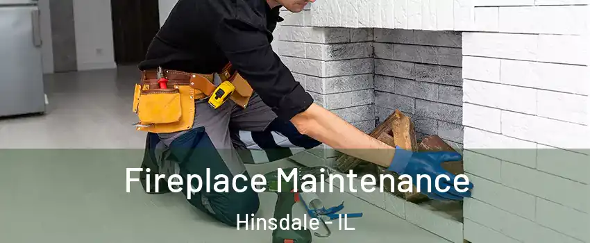  Fireplace Maintenance Hinsdale - IL