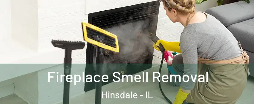  Fireplace Smell Removal Hinsdale - IL