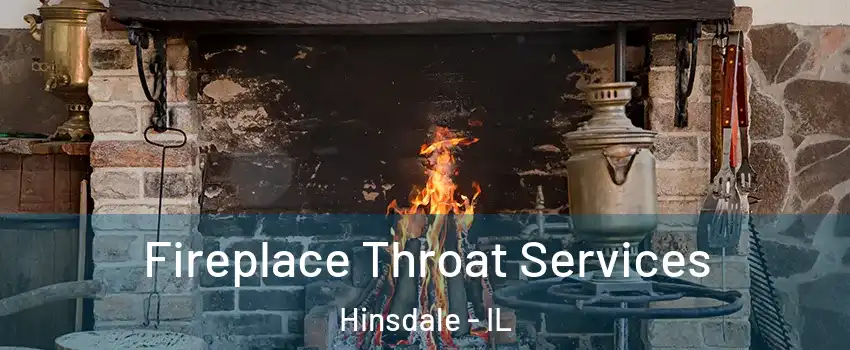  Fireplace Throat Services Hinsdale - IL