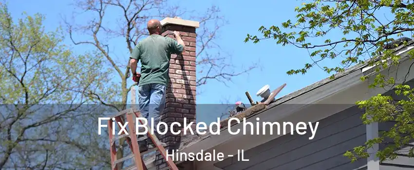  Fix Blocked Chimney Hinsdale - IL