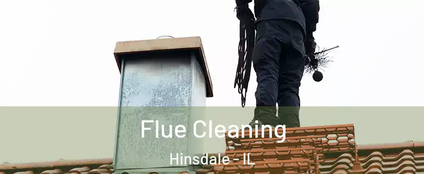  Flue Cleaning Hinsdale - IL