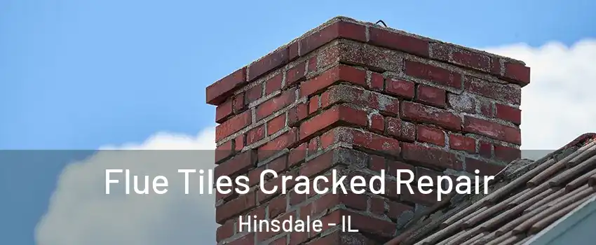  Flue Tiles Cracked Repair Hinsdale - IL