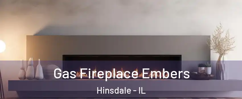  Gas Fireplace Embers Hinsdale - IL
