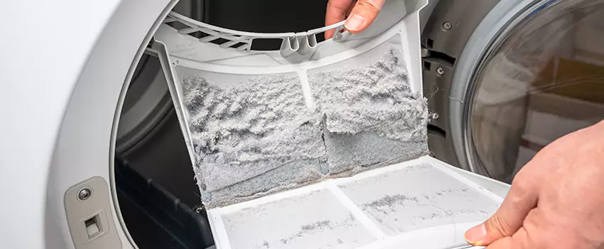 Best Dryer Lint Removal Company in Hinsdale, Illinois
