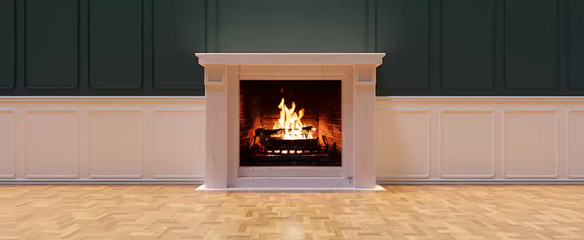 Napoleon Electric Fireplaces Inspection Service in Hinsdale, Illinois