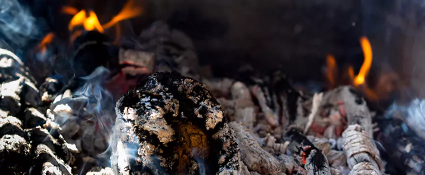 Creosote Removal Experts in Hinsdale, IL