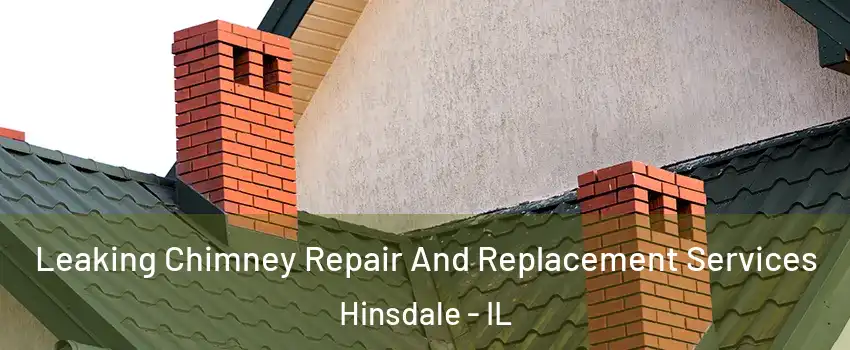  Leaking Chimney Repair And Replacement Services Hinsdale - IL
