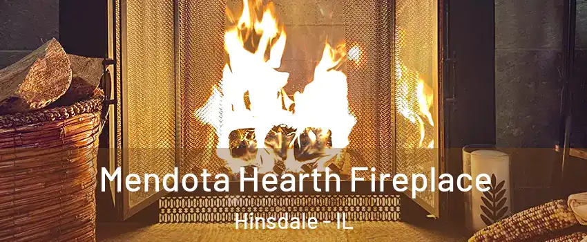  Mendota Hearth Fireplace Hinsdale - IL