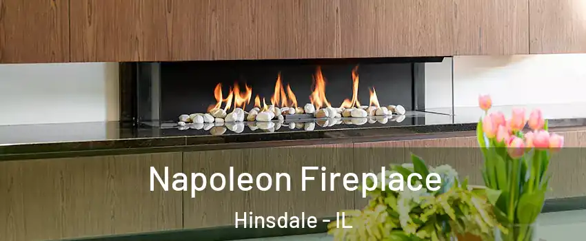  Napoleon Fireplace Hinsdale - IL