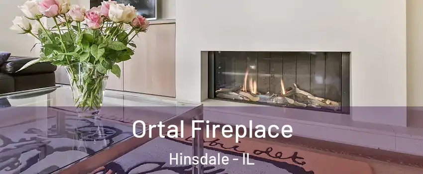 Ortal Fireplace Hinsdale - IL
