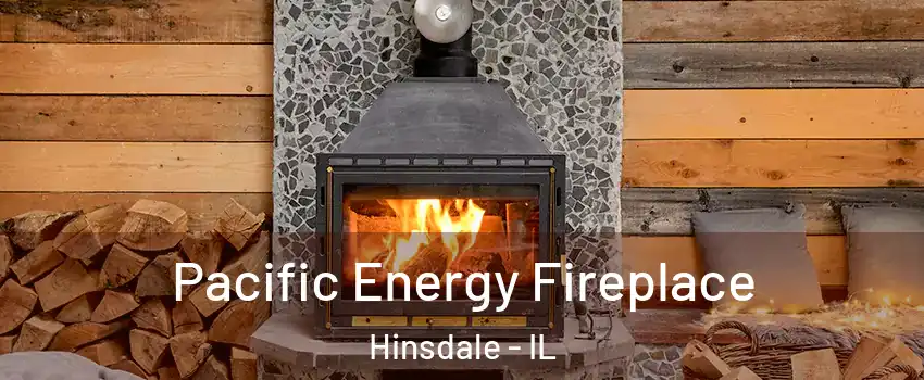  Pacific Energy Fireplace Hinsdale - IL