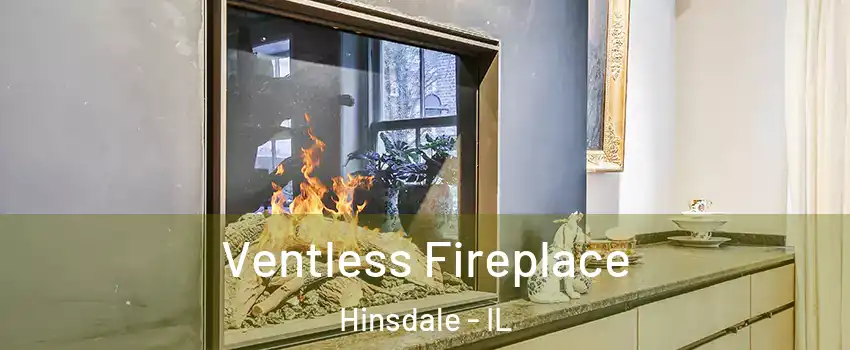  Ventless Fireplace Hinsdale - IL